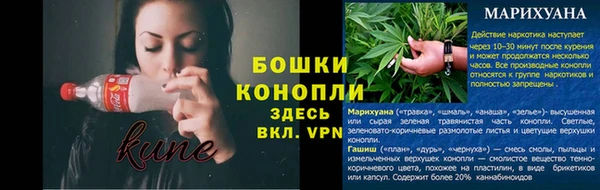не бодяженный Бородино