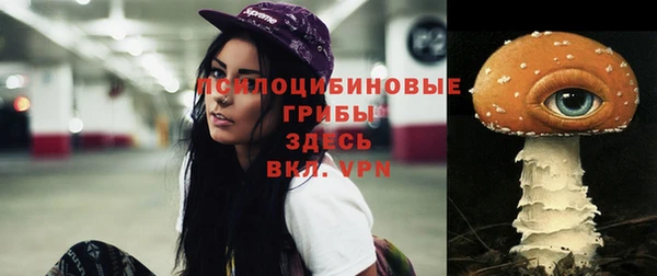 не бодяженный Бородино