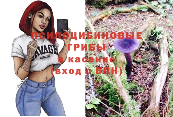сатива Бронницы