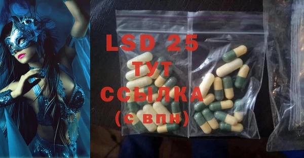 сатива Бронницы